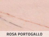 rosa-portogallo